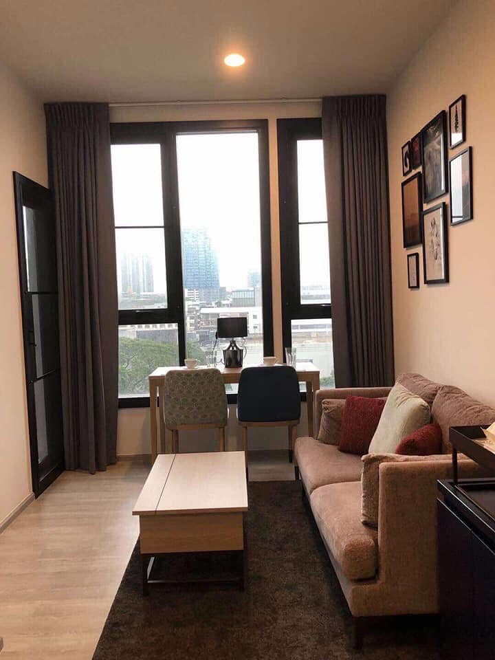 XT Ekkamai — photo 3