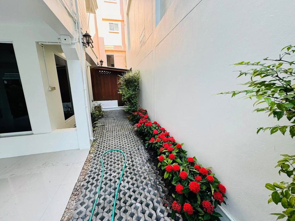 FOR RENT SINGLE HOUSE Sukhumvit 31, 5 bed house in Sukhumvit, Bangkok — photo 13