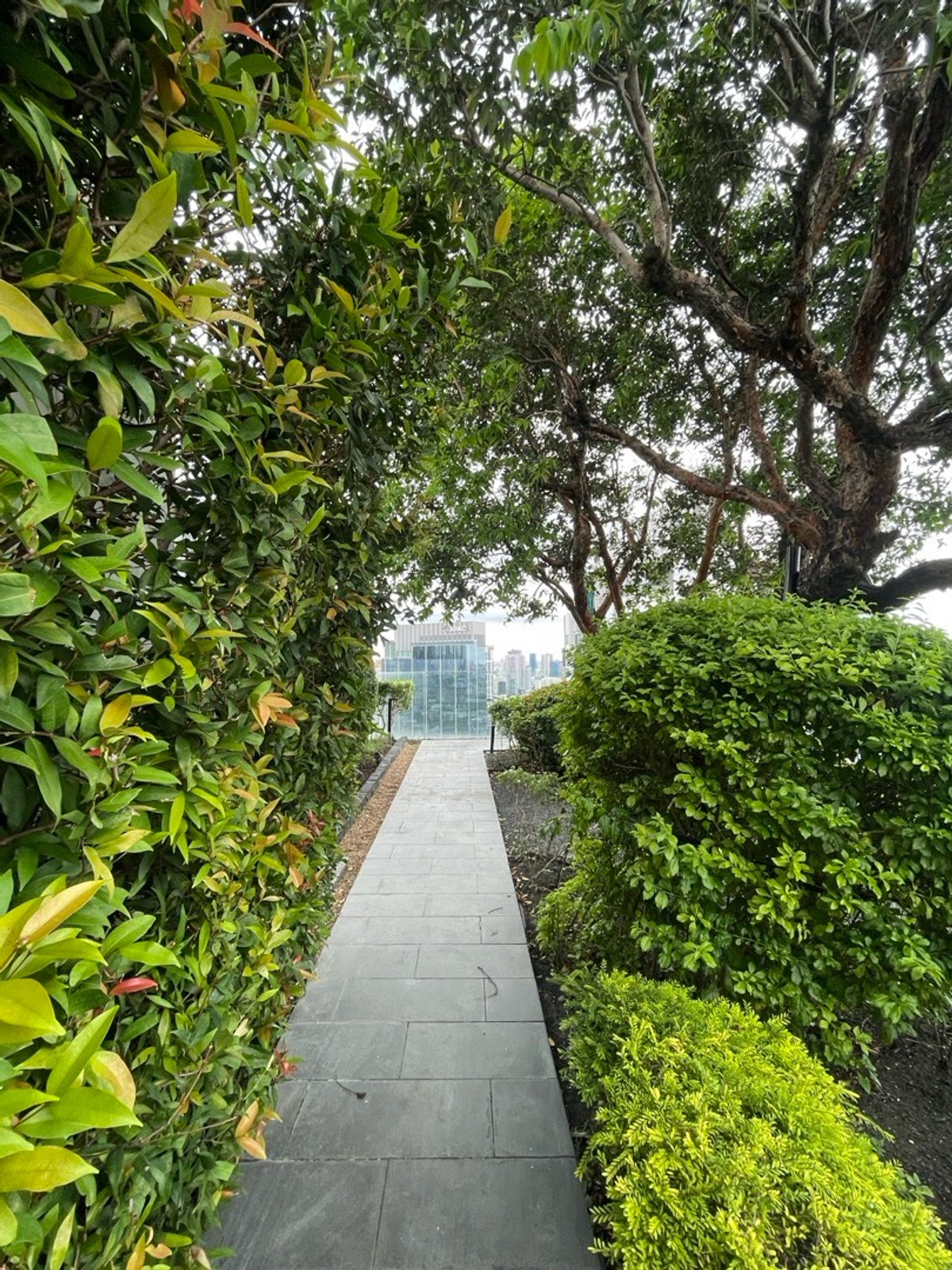 Siamese Exclusive Sukhumvit 42, 2 bed condo in Sukhumvit, Bangkok — photo 8